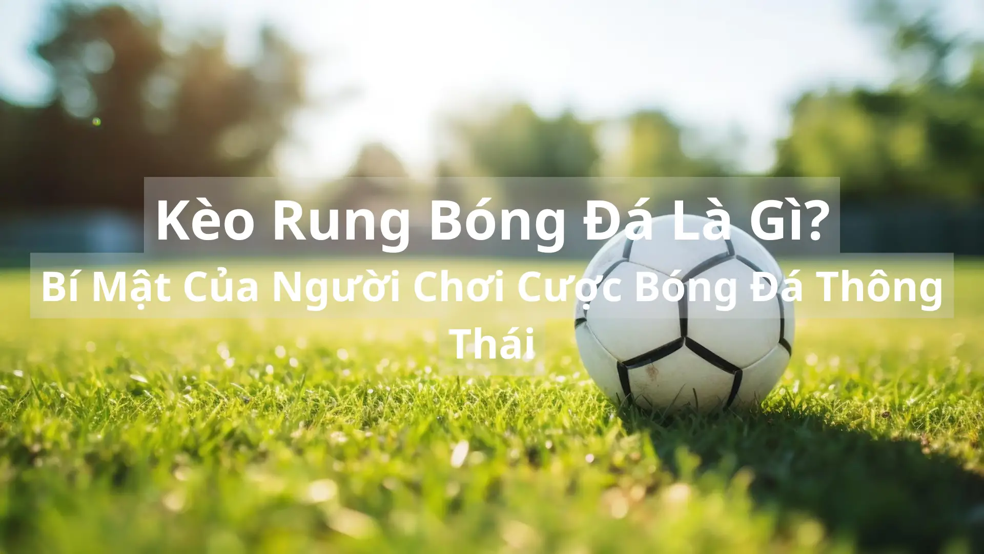 Kèo Rung Bóng Đá Là Gì? Bí Mật Của Người Chơi Cược Bóng Đá Thông Thái