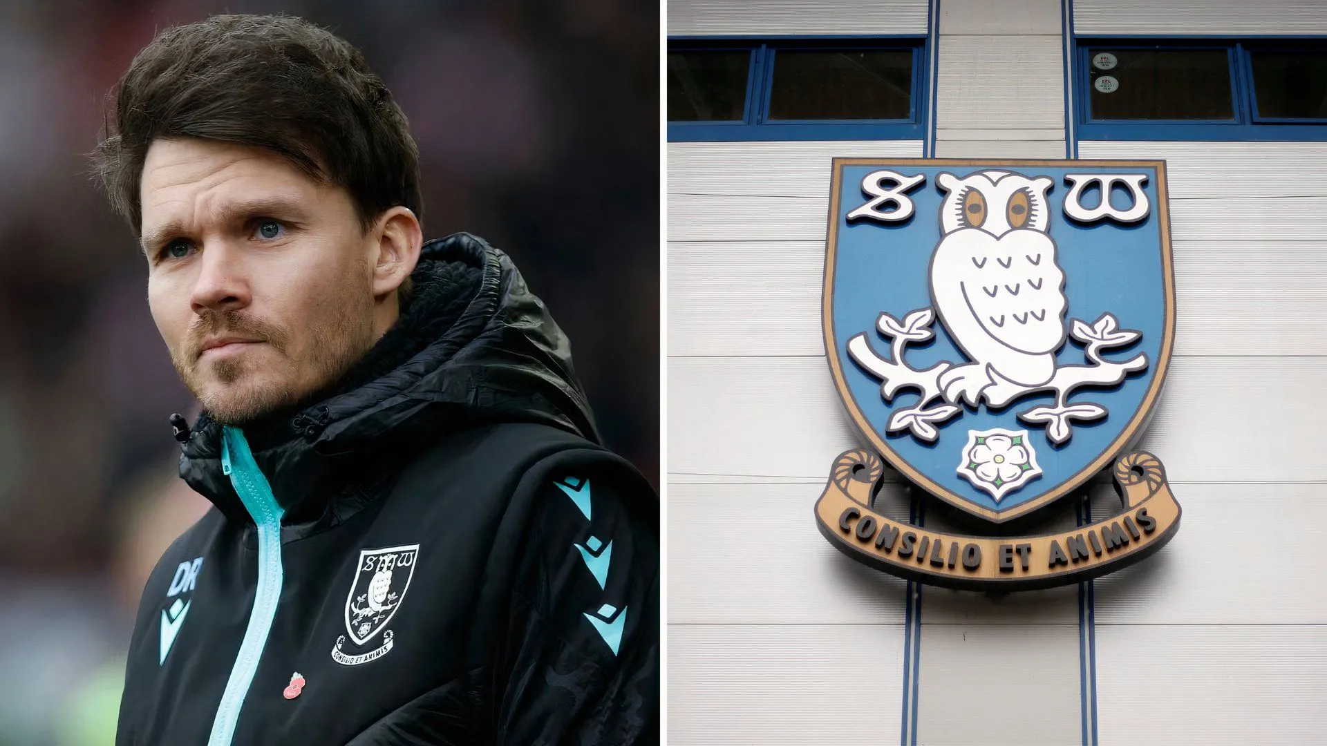 Huấn luyện viên Danny Rohl của Sheffield Wednesday