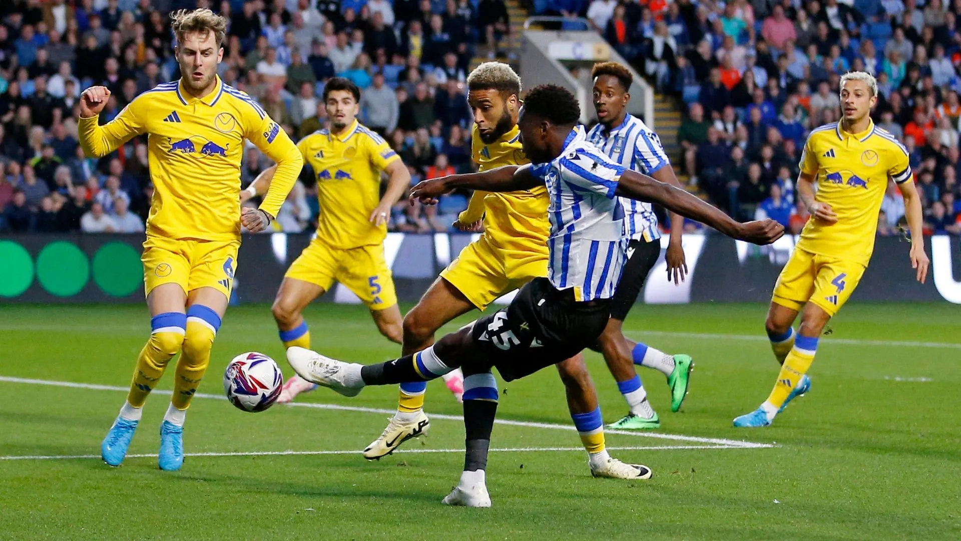 Anthony Musaba tiền vệ tấn công của Sheffield Wednesday, người đã gia nhập Samsunspor
