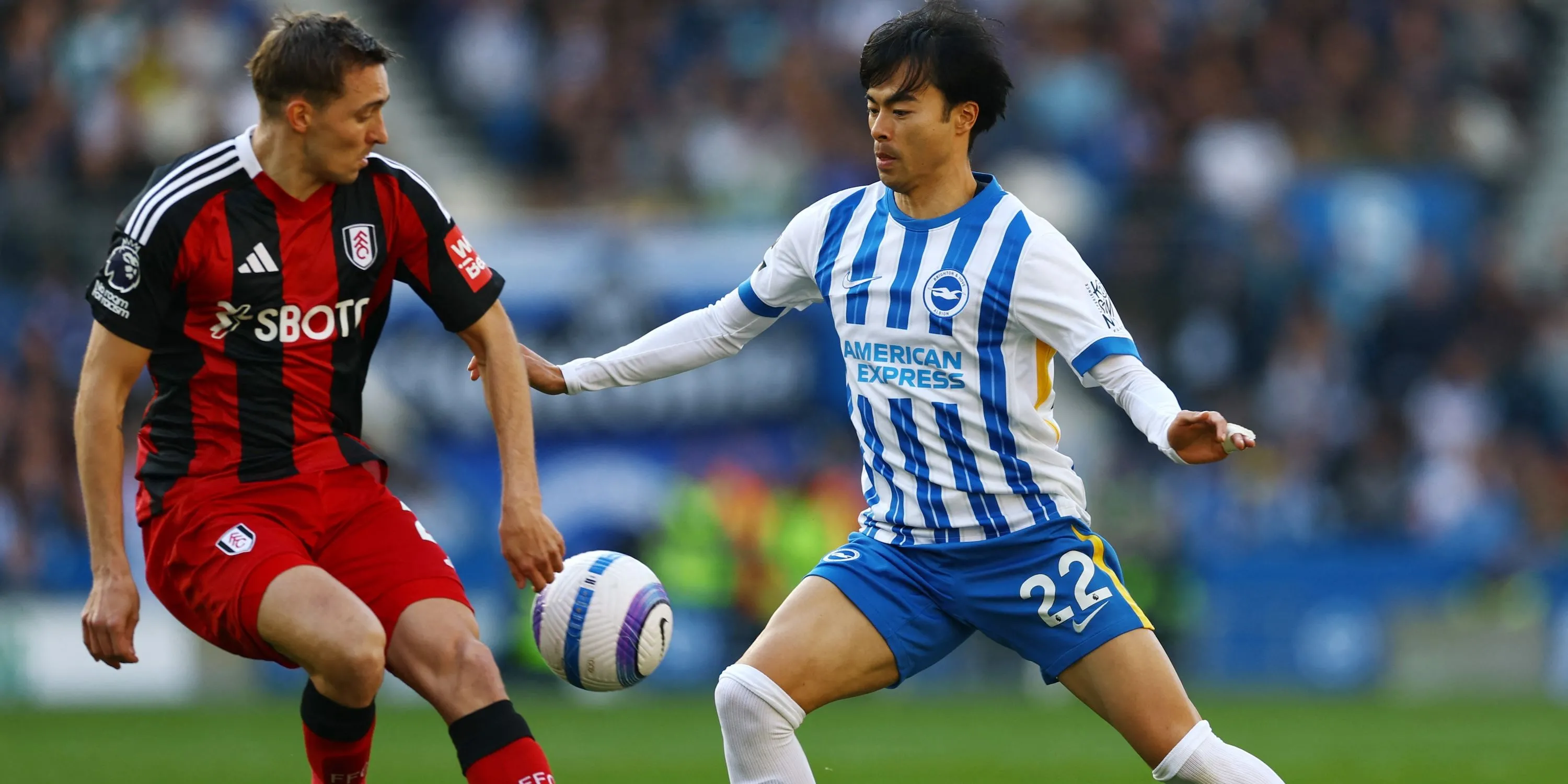 Brighton &amp; Hove Albion