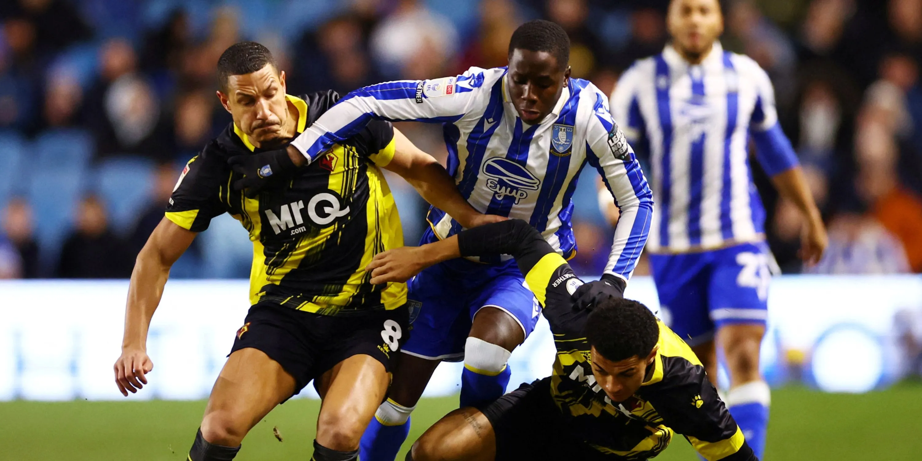 Tiền vệ Djeidi Gassama của Sheffield Wednesday với phong độ ấn tượng ở Championship