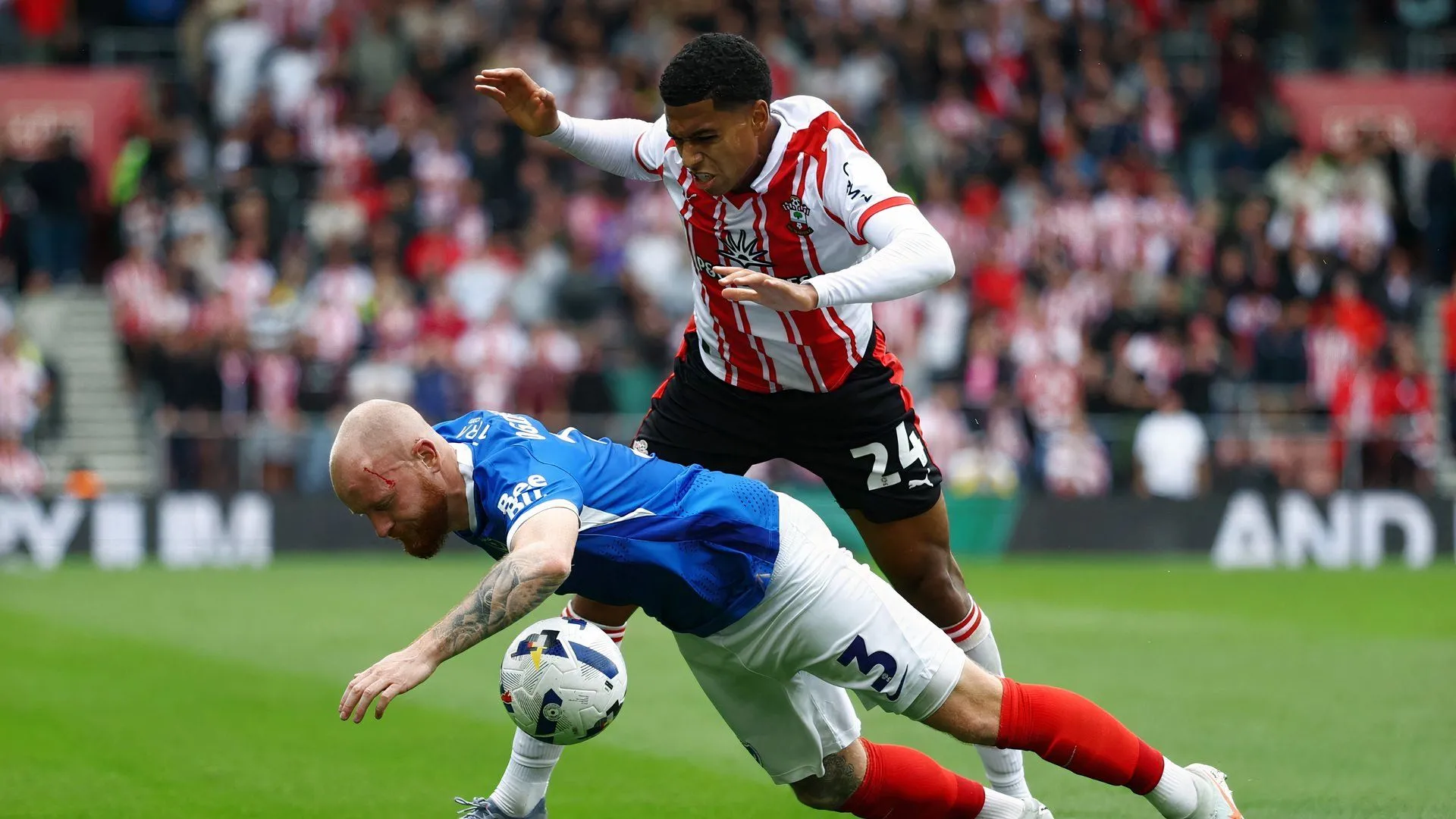 Cổ động viên Portsmouth trong bối cảnh derby miền Nam, liên quan đến áp lực với Southampton