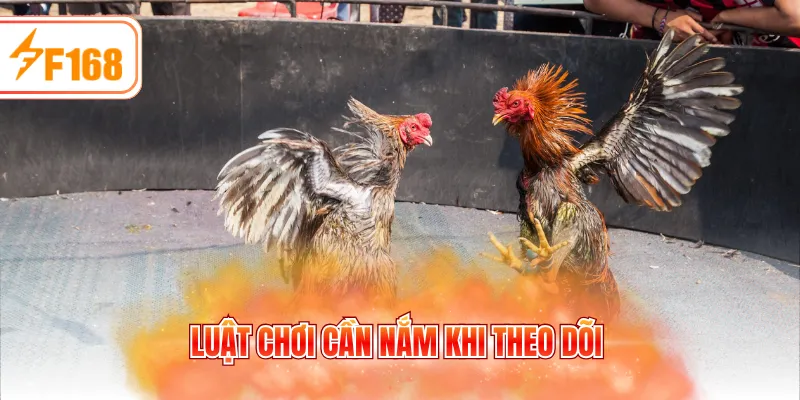 Luật chơi cần nắm khi theo dõi